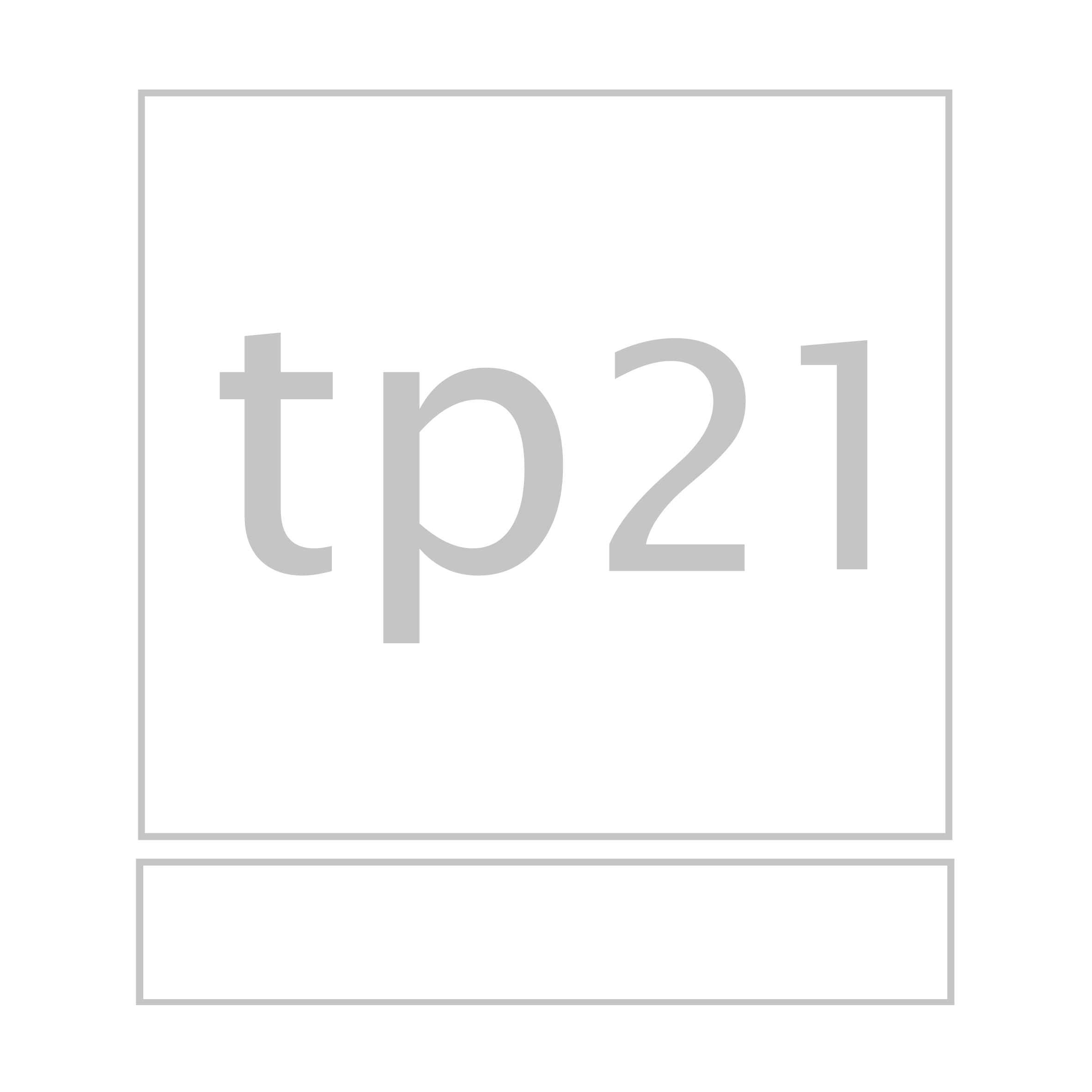 TP21 Logo